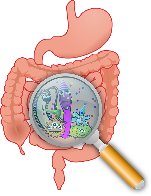 Intestino tra gonfiore e stitichezza